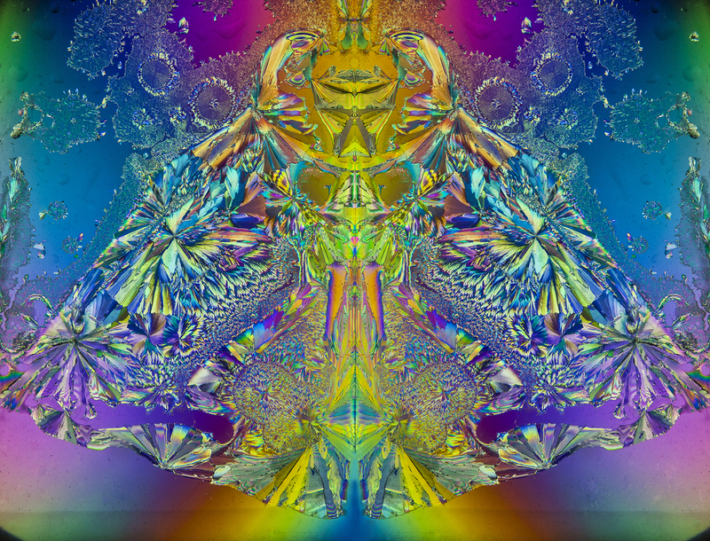 sug3839 comp 8x6.jpg