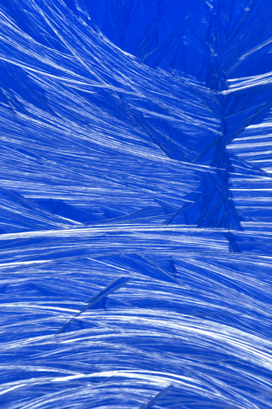 Crystal Frost9221a.jpg