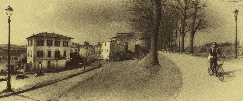 Lucca pan.jpg