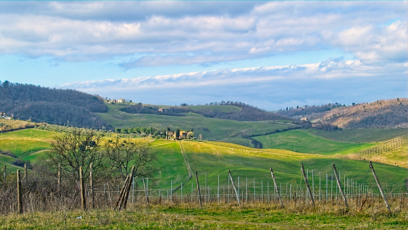 Val d Orcia 4.jpg