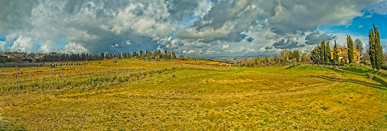 golden Tuscan panorama.jpg