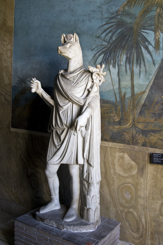 _MG_4039(1).jpg :: Anubis