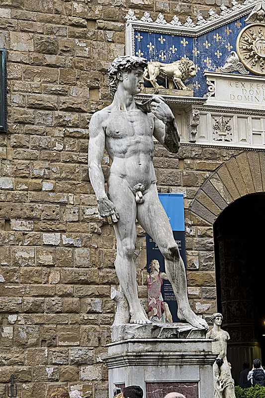 _MG_4740 copy.jpg :: Michelangelo's David (copy)
