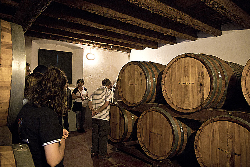 _MG_5308 copy(1).jpg