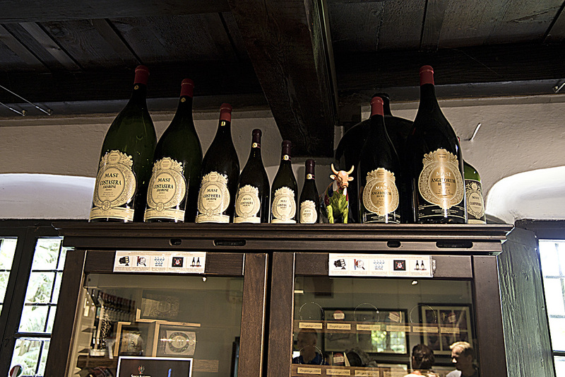 _MG_5314 copy(1).jpg