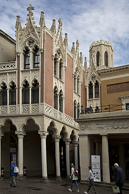 _MG_5464 copy(1).jpg