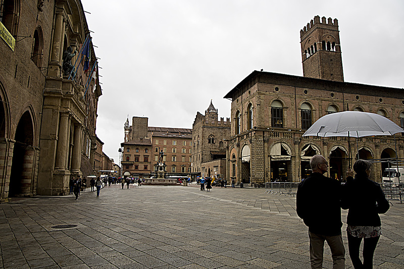 _MG_5539 copy.jpg
