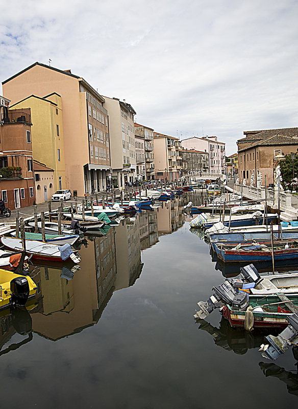 _MG_5739 copy.jpg