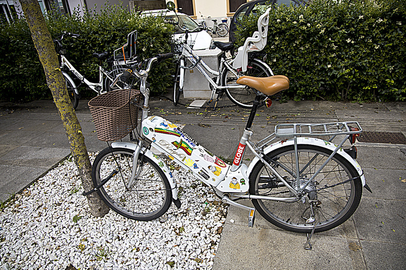 _MG_5742 copy.jpg :: Bicycle