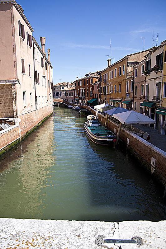 _MG_5831 copy(1).jpg