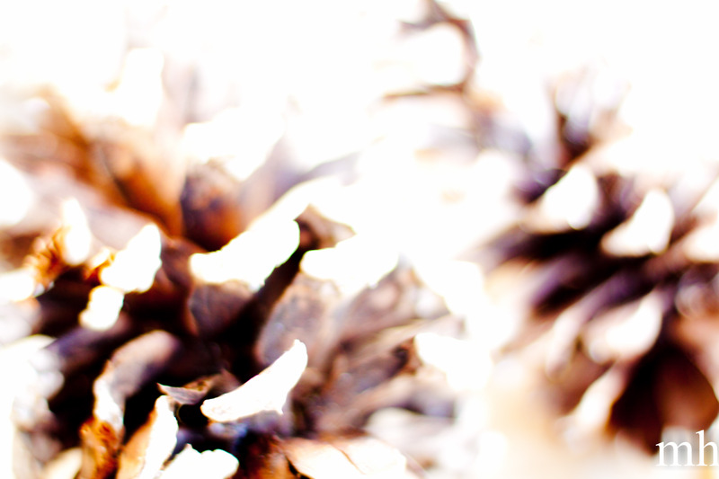 Spirit and Flesh 0898-Edit(2).jpg :: Spirit and Flesh