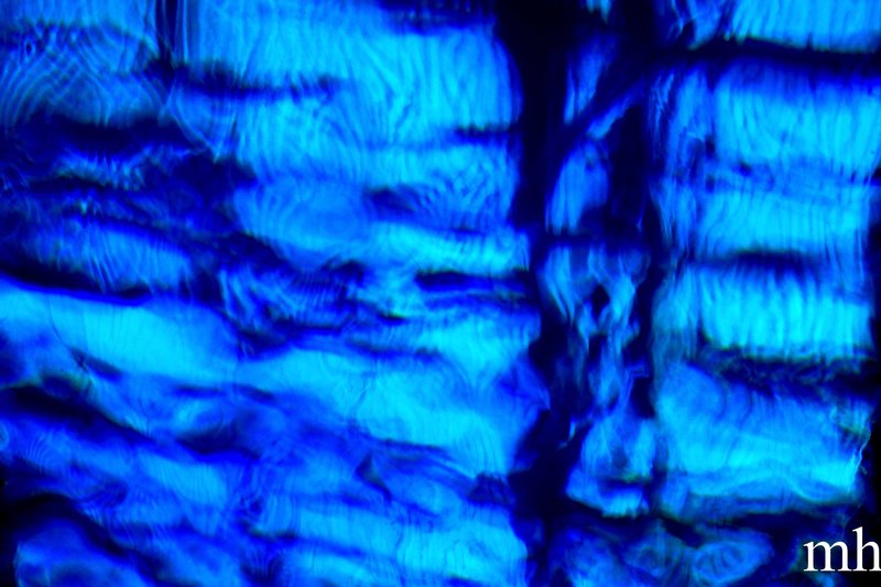 Submerged (day five) 0145(3).jpg :: Genesis 1:20-23