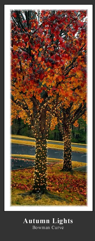 Autumn Lights.jpg