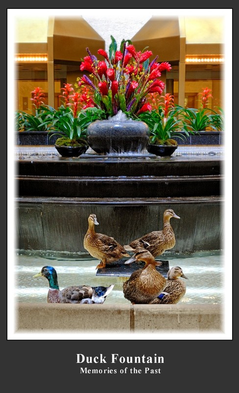 Duck Fountain(1).jpg