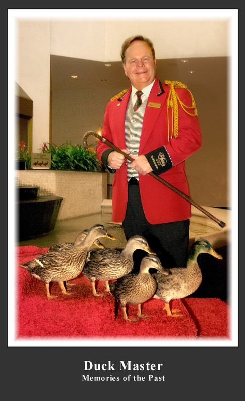 Duck Master.jpg
