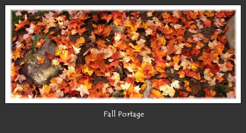 Fall Portage(1).jpg
