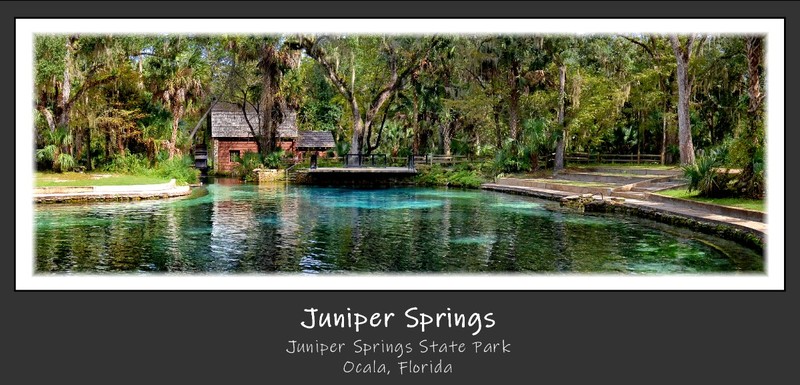 Juniper Springs.jpg