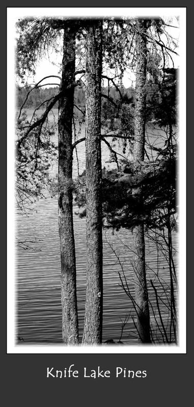 Knife Lake Pines(1).jpg