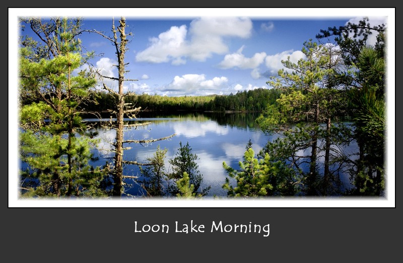 Loon Lake Morning.jpg