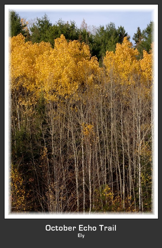 October Echo Trail.jpg