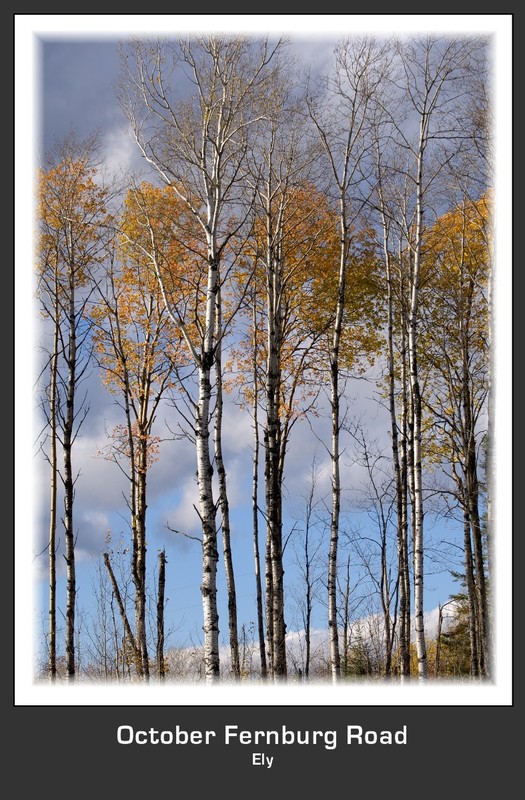 October Fernburg Road.jpg