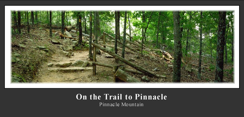 On the Trail to Pinnacle(1).jpg