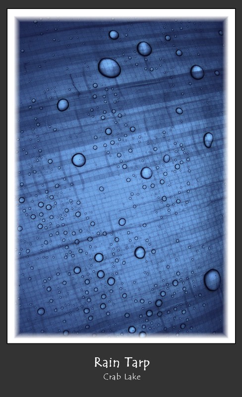 Rain Tarp.jpg