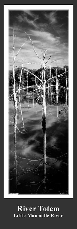 River Totem.jpg