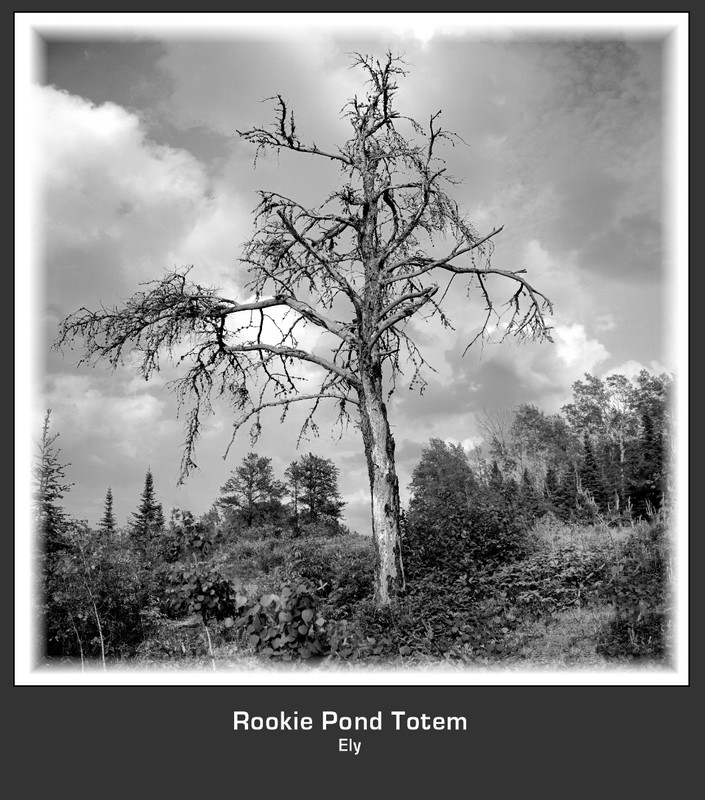 Rookie Pond Totem.jpg