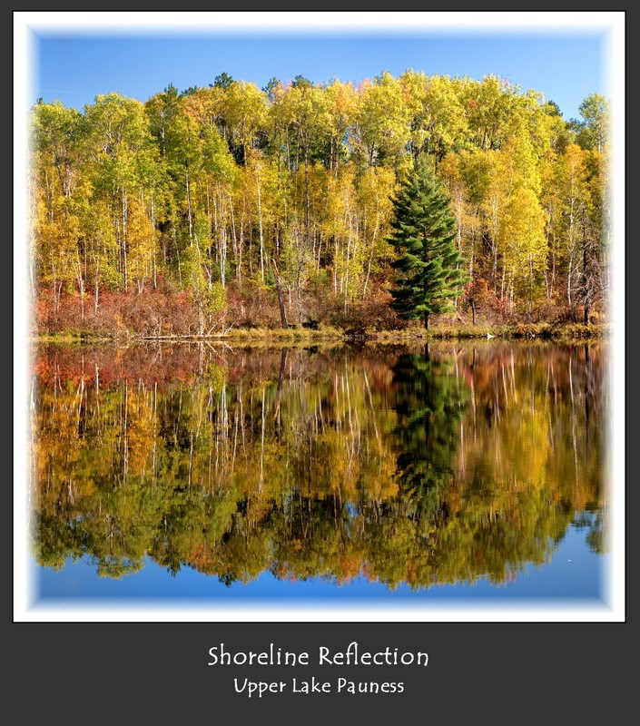 Shoreline Reflection.jpg