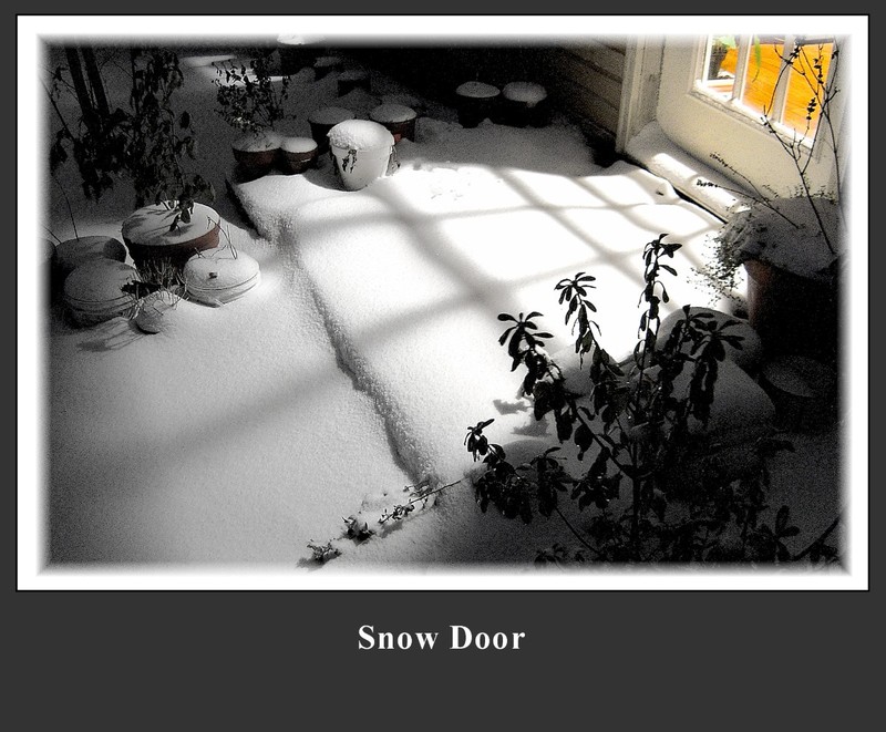 Snow Door.jpg