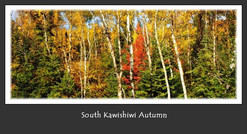 South Kawishiwi Autumn.jpg
