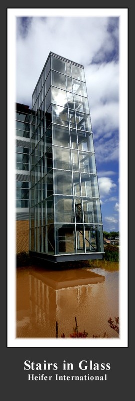 Stairs in Glass.jpg