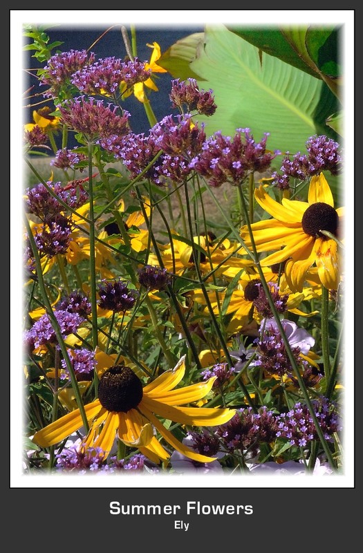 Sumer Flowers.jpg