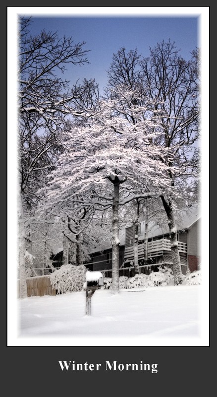 Winter Morning.jpg