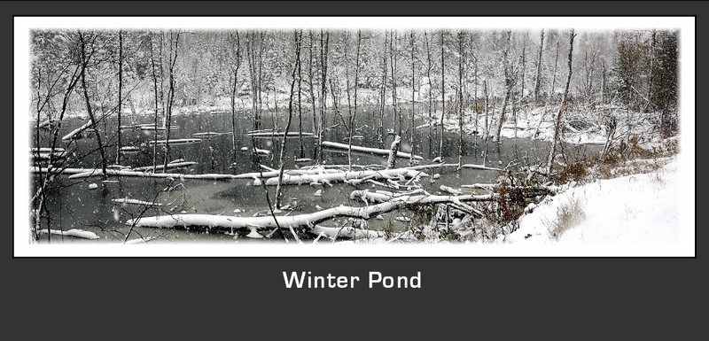 Winter Pond.jpg