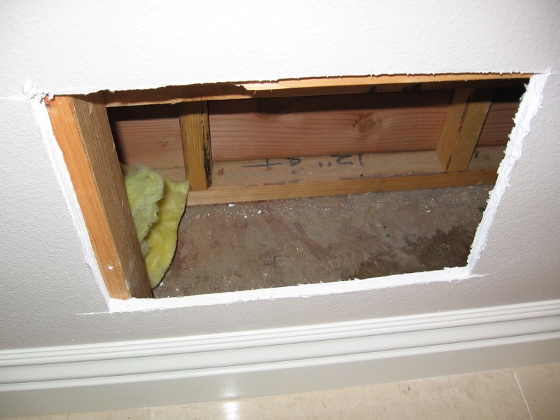 IMG_0143.jpg :: Shower leak.