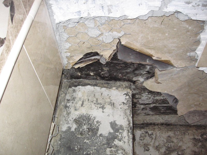 IMG_0148.jpg :: Shower leak.