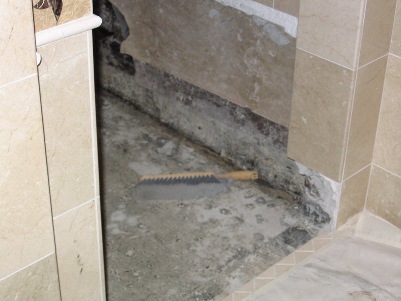 IMG_0153.jpg :: Shower leak.