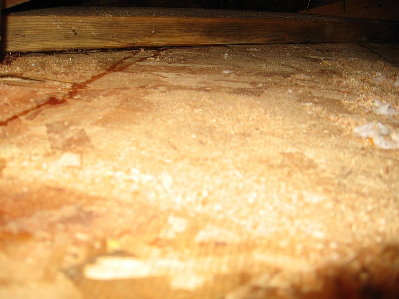 IMG_0264.jpg :: Chimney-roof flashing leak.