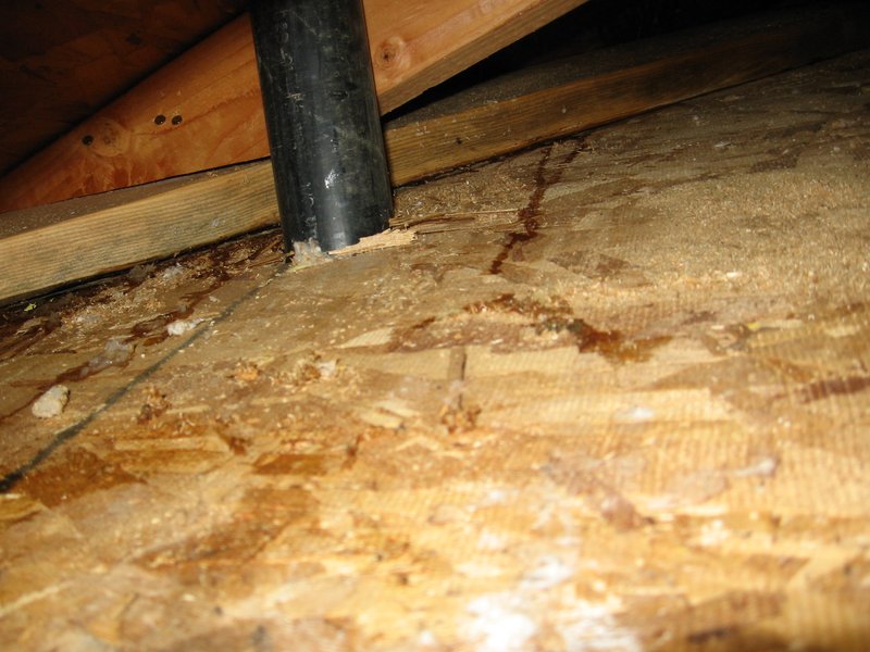 IMG_0268.jpg :: Chimney-roof flashing leak.