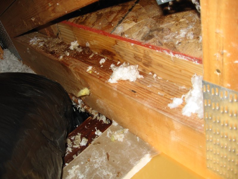 IMG_0270.jpg :: Chimney-roof flashing leak.