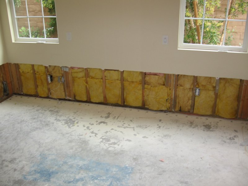 IMG_0278.jpg :: Drying out.