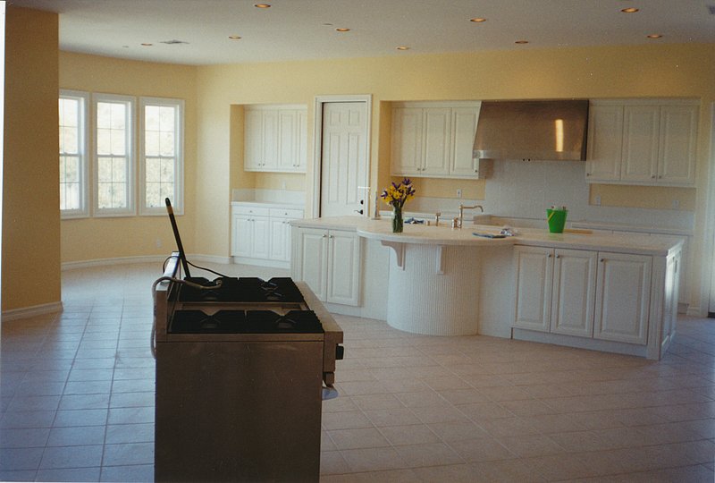 Paint Pictures_0019.jpg :: Assorted residential paint projects