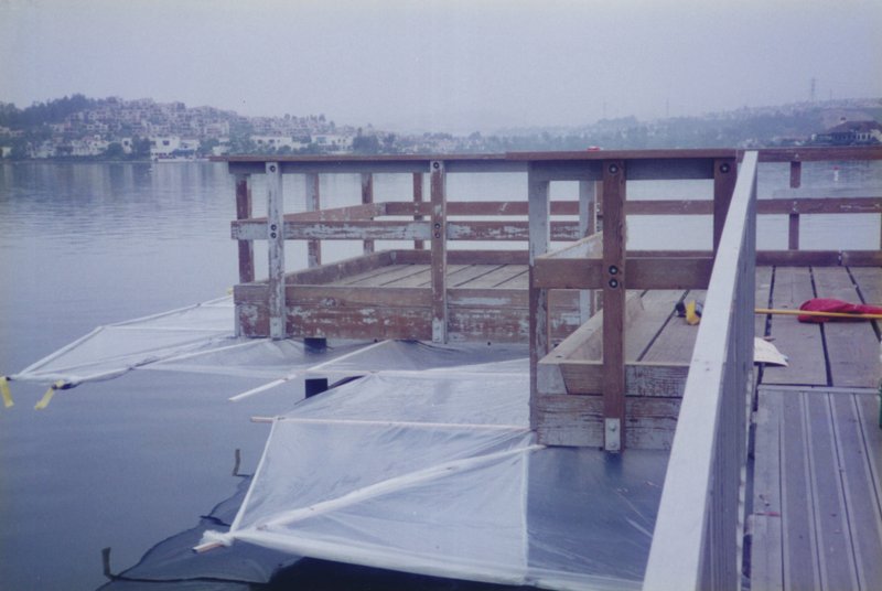 Paint Pictures_0141.jpg :: HOA maintenance