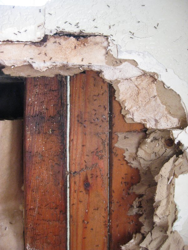 Shower window roof water intrusion (18).jpg