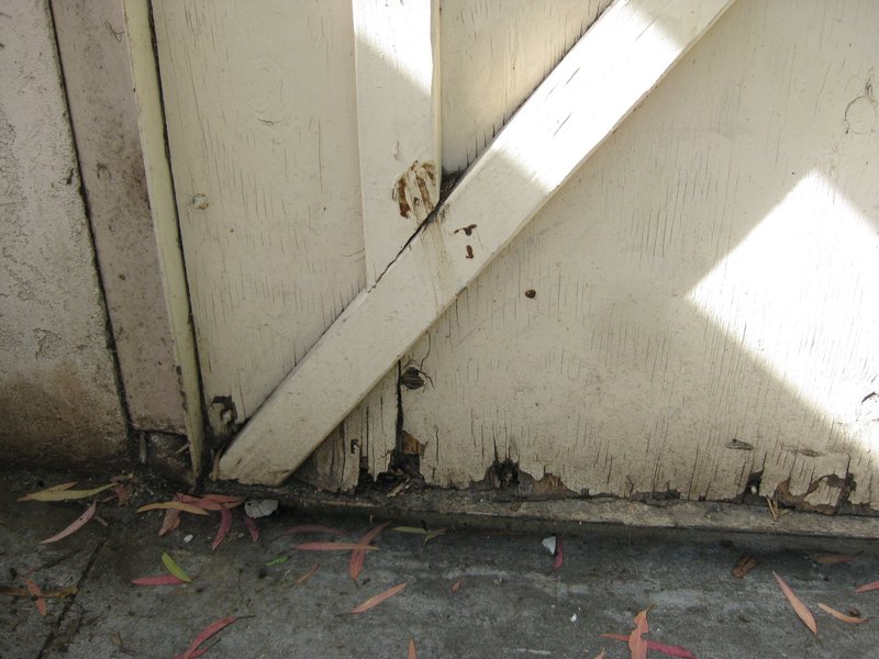 Trash enclosure doors (19).jpg :: A few doors prior to refurbishment