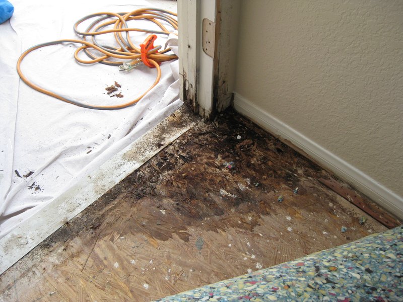 Water intrusion door threshold frame (5).jpg