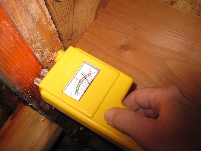 inspection 2.jpg :: Water intrusion from window flashing