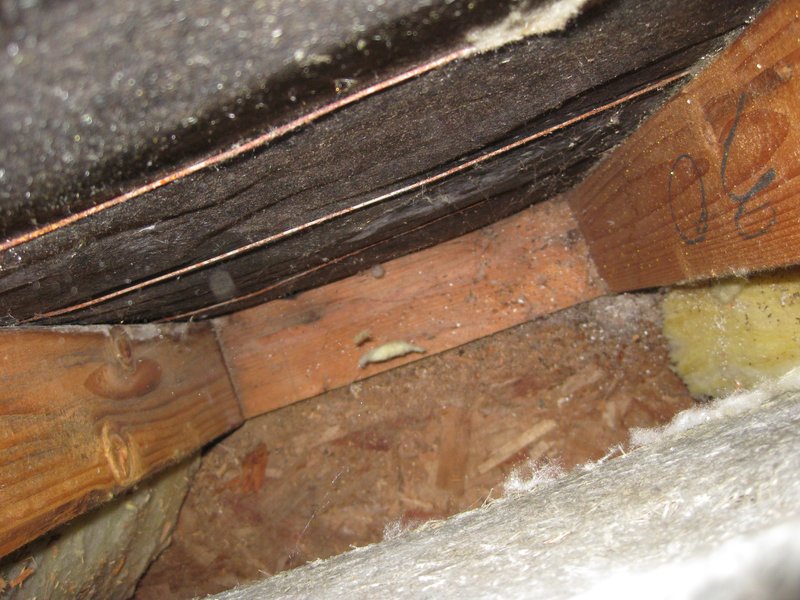 inspection 3.jpg :: Water intrusion from window flashing